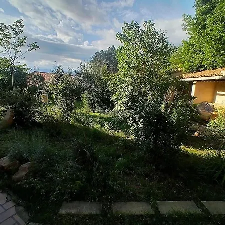 Le Bonheur En Provence Trets